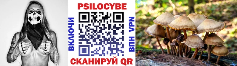Галлюциногенные грибы Psilocybe  МЕГА зеркало  Ступино 