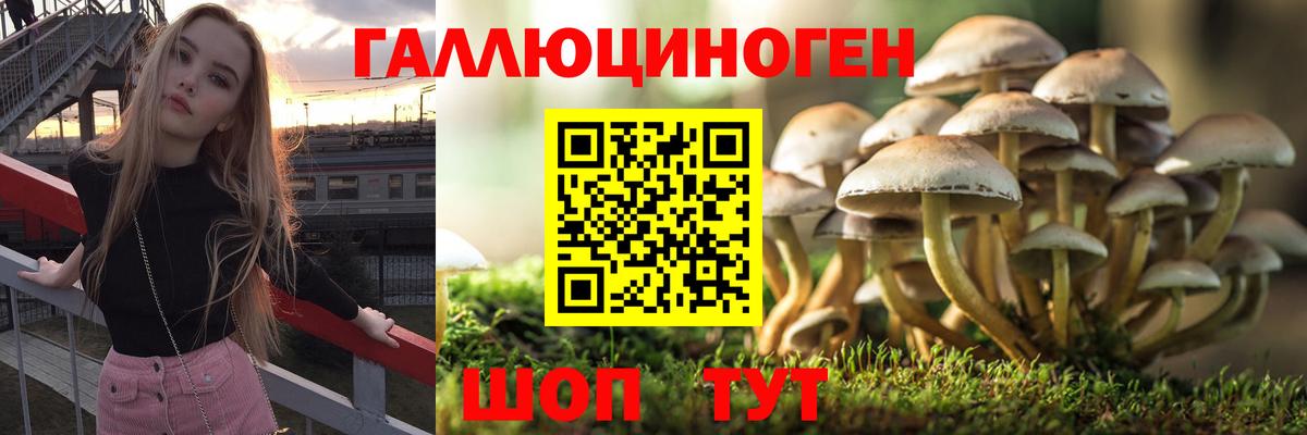 Галлюциногенные грибы ЛСД  Вход с VPN  как найти закладки  Ступино  Галлюциногенные грибы Magic Shrooms 
