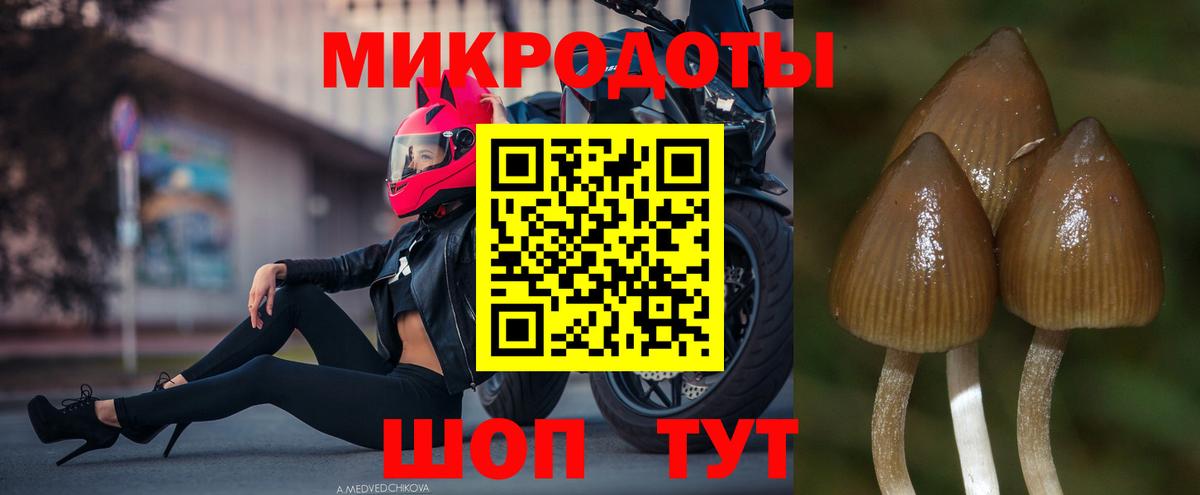 Галлюциногенные грибы GOLDEN TEACHER Ступино